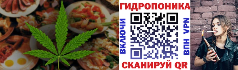 где купить наркоту  Дорогобуж  Canna-Cookies конопля 