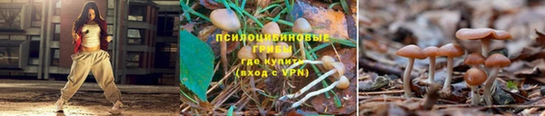 винт Богданович