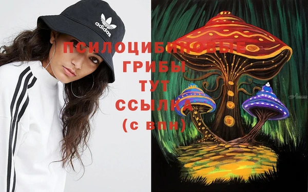 тгк Аркадак