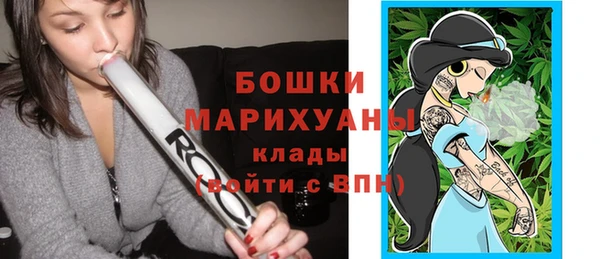 хмурый Медногорск