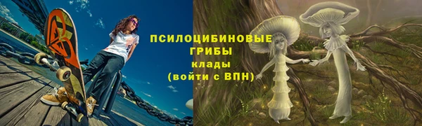 тгк Аркадак